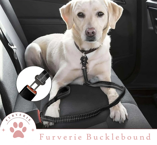 Furverie Bucklebound™